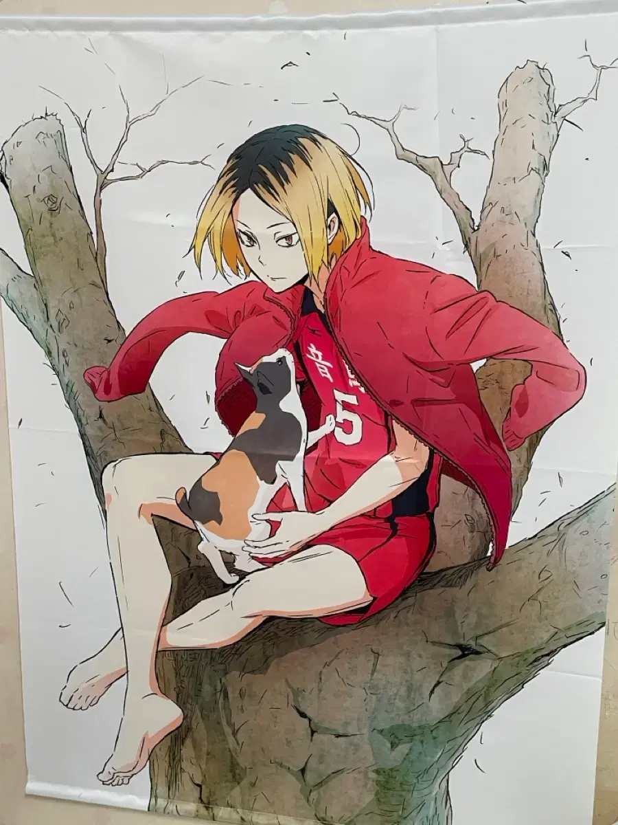thumbnail-1